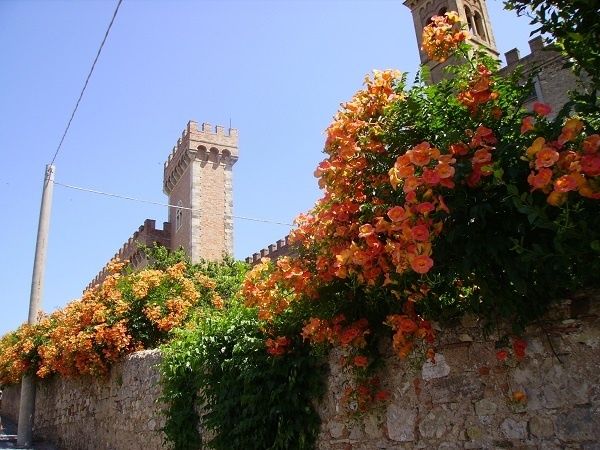 Bolgheri