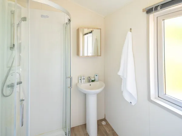 Le Comfort Lounge dispose d'une salle de bain avec toilettes, douche et lavabo.