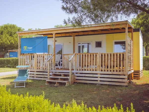 Le Comfort Plus Lounge de Roan.