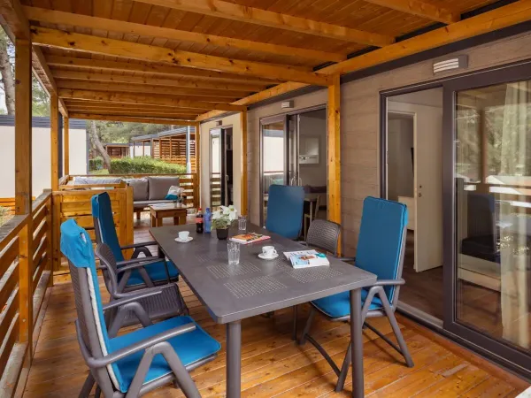 La véranda du Roan Comfort Plus Lounge présente un luxueux ensemble de jardins.