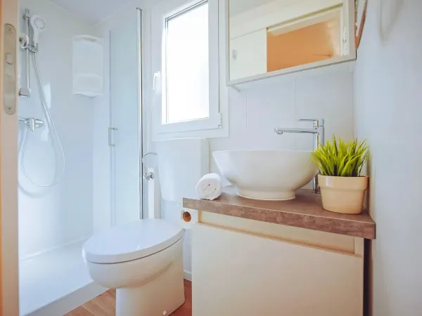 Salle de bain du salon Roan Comfort Plus Lounge avec toilettes.