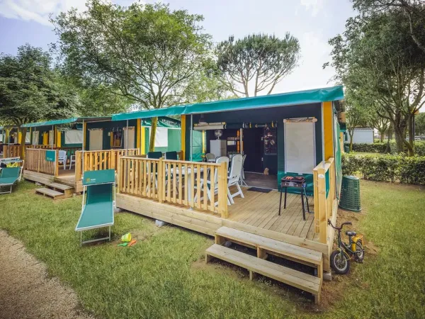 Tente lodge Woody 1