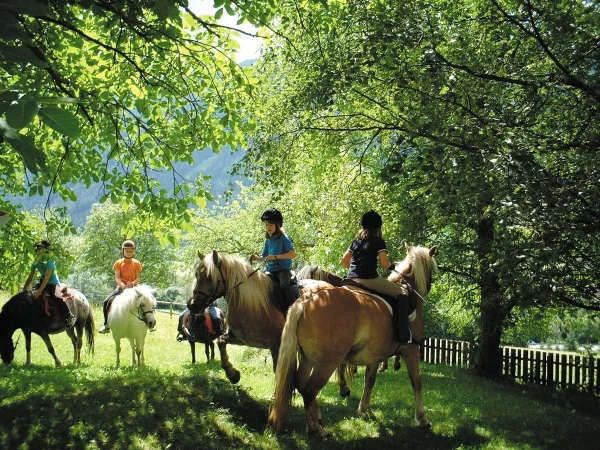 Randonnée à cheval dans la région au camping Roan Bella Austria.