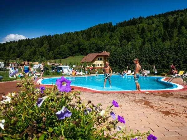 Vue d'ensemble de la piscine du camping Roan Bella Austria.