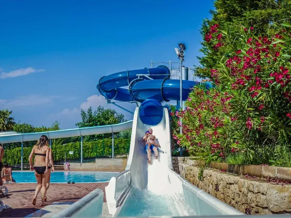 Toboggan aquatique au camping Roan Belvedere.