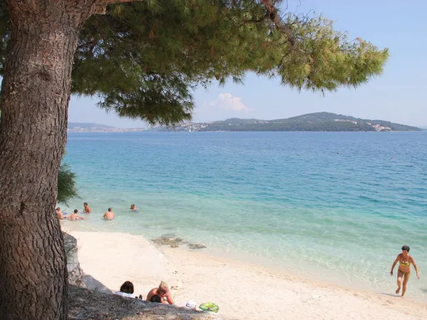 Plage et mer au camping Roan Amadria Park Trogir.