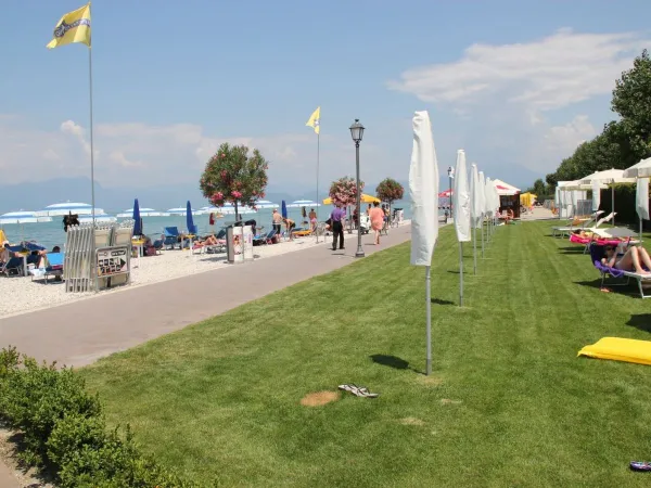 Plage herbeuse au Roan Camping Butterfly.