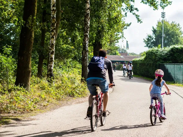 Homme et enfant à vélo au camping Roan De Schatberg.