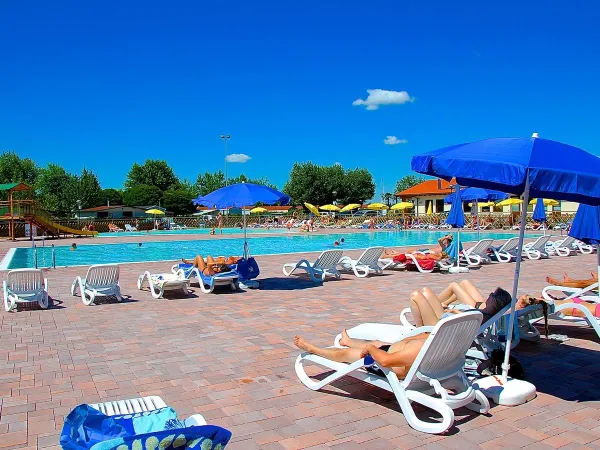 Chaises longues au bord de la piscine du camping Roan Del Garda.