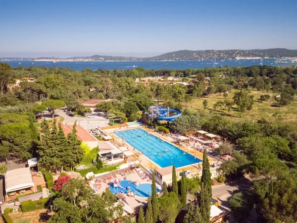 Piscine olympique au camping Roan Domaine Naïades.