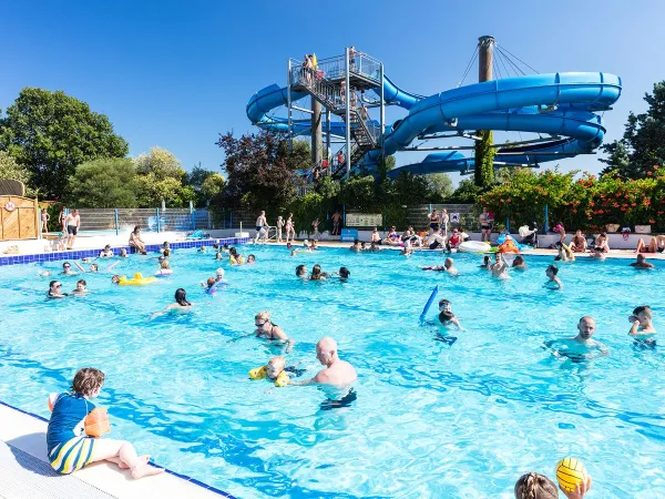 Piscine olympique avec toboggan aquatique au camping Roan Domaine Naïades.