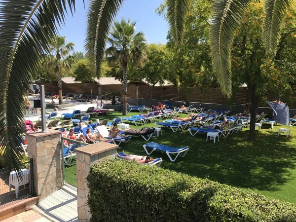 Bain de soleil sur l'herbe au bord de la piscine du camping Roan La Masia.