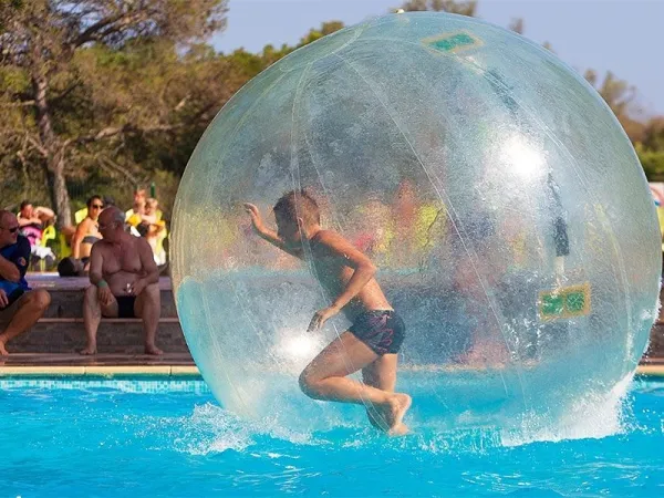 Activité de ballon d'eau au camping Roan La Pierre Verte.