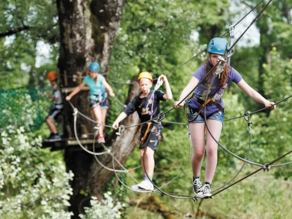 Forêt d'escalade au camping Roan de Bonnal.