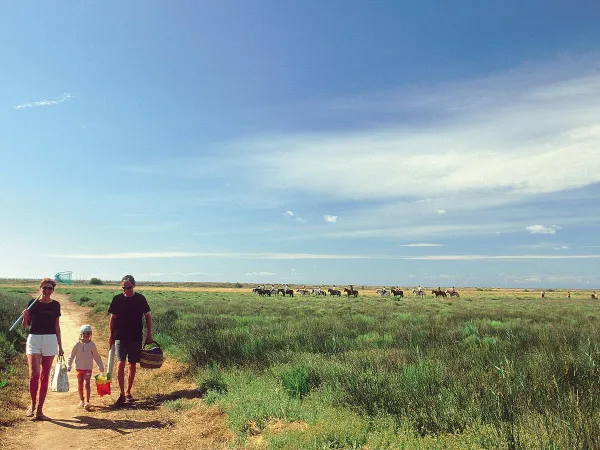 Famille de marcheurs à l'extérieur du camping Roan Les Sablines.