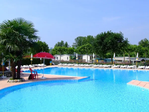 Piscine du camping Roan Okay Lido.