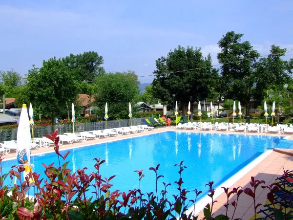 Vue d'ensemble de la piscine du camping Roan Okay Lido.