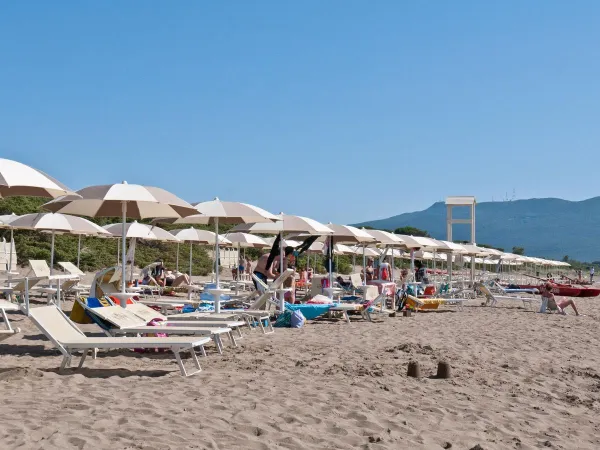 Plage confortable au camping d'Orbetello.