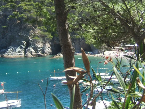 Petite plage de rochers près du camping Roan Playa Brava.