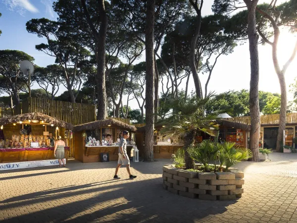 Stands au camping Roan hu Park Albatros village.