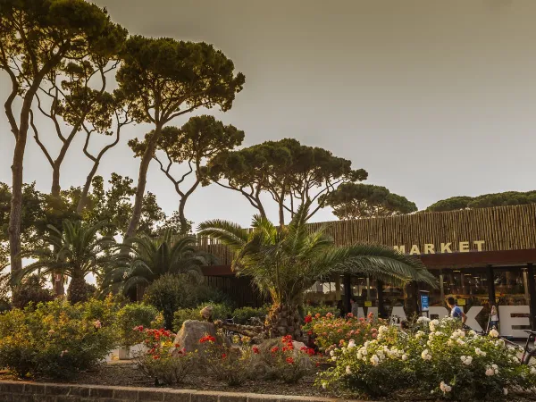Supermarché au camping Roan hu Park Albatros village.