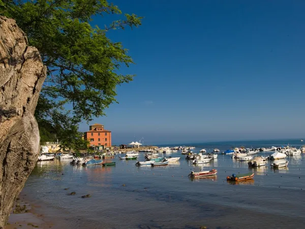 Port proche du Roan camping Park Albatros.