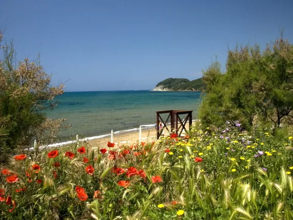 Plage et mer à proximité du camping Roan Park Albatros.