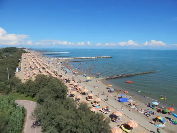 Plage avec chaises longues et parasols au camping Roan Pra'delle Torri.