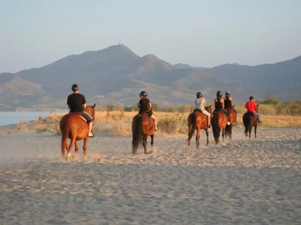 Randonnée à cheval près du camping Roan La Sirène.