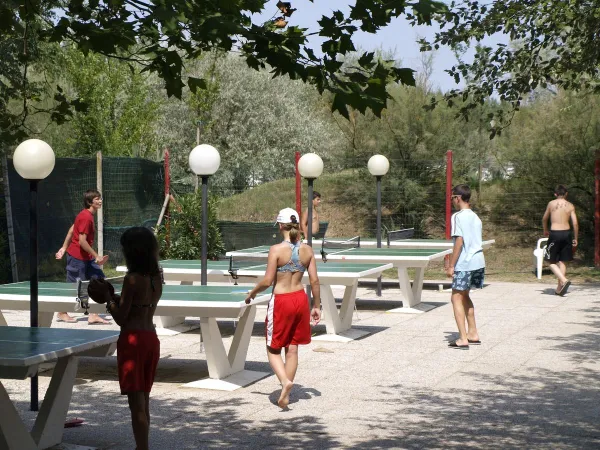 Tennis de table au camping Roan Ca'Savio.