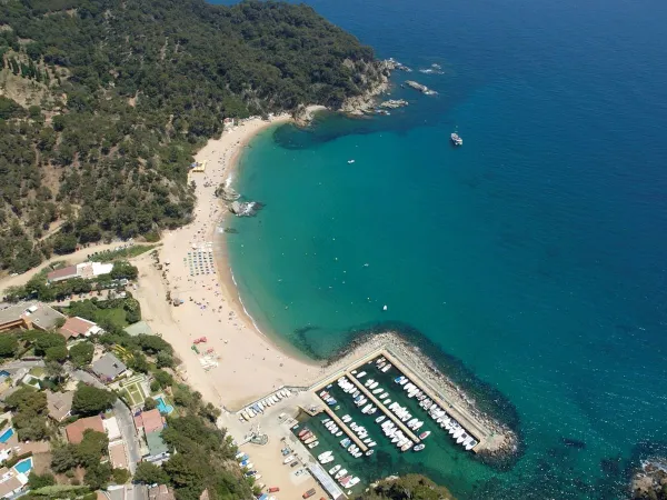 Vue d'ensemble de la plage et du port du camping Roan Cala Canyelles.