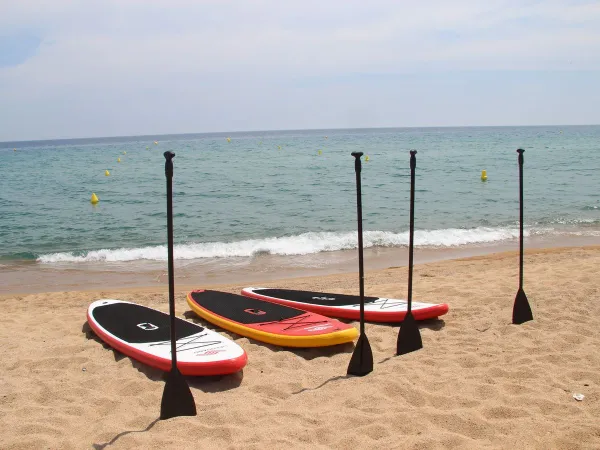 Possibilité de faire du paddle surf au camping Roan Bella Terra.