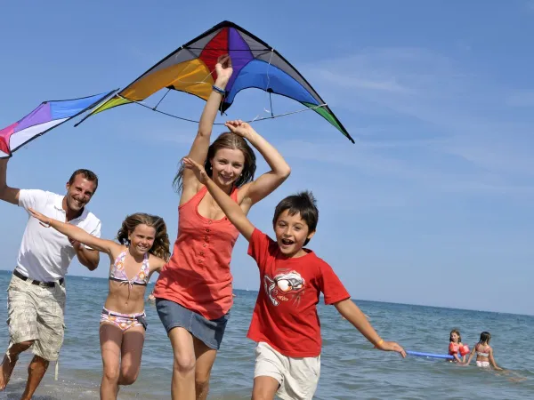 Cerf-volant au camping Roan Beach Garden.