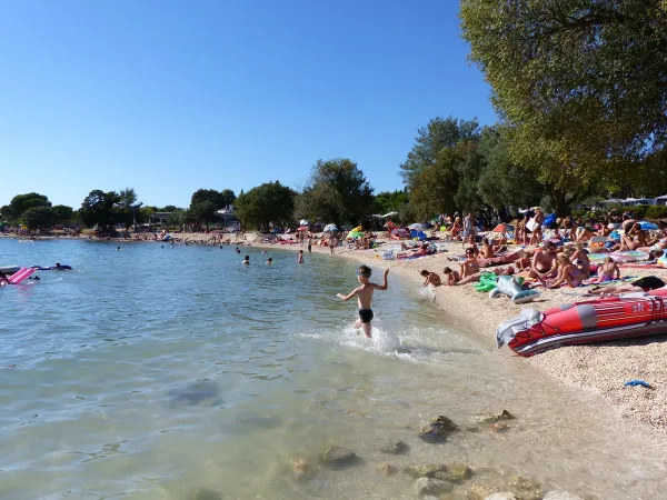 Plage animée au camping Roan Polari.