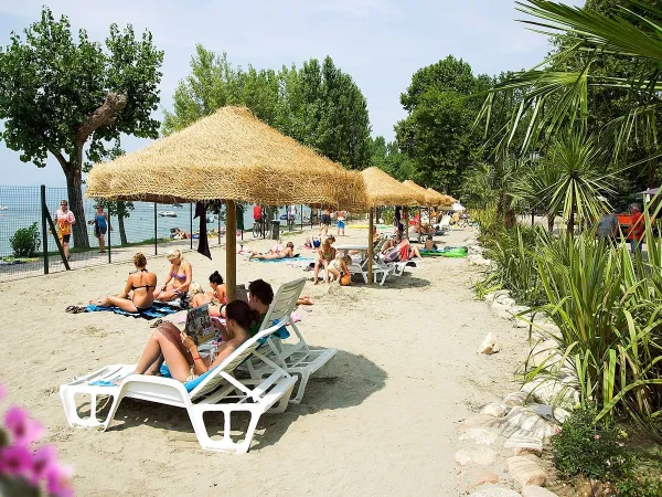 Chaises longues et parasols au bord du lac au camping Roan Cisano San Vito.