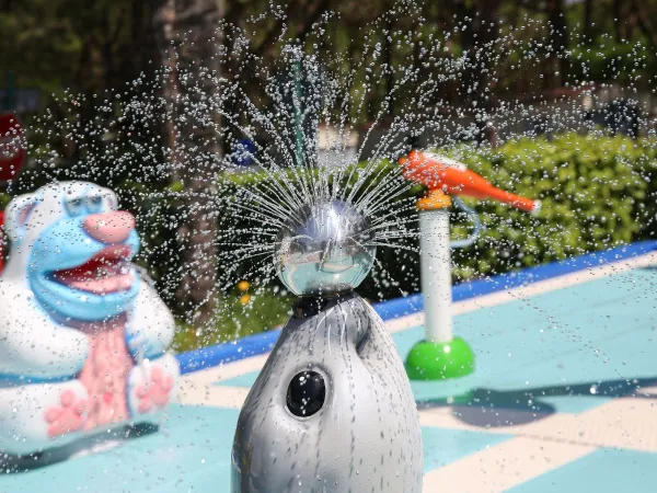 Objets de piscine au camping Roan Sant Angelo.