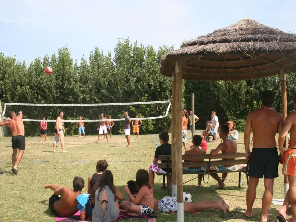 Terrain de volley-ball au camping Roan Tahiti.