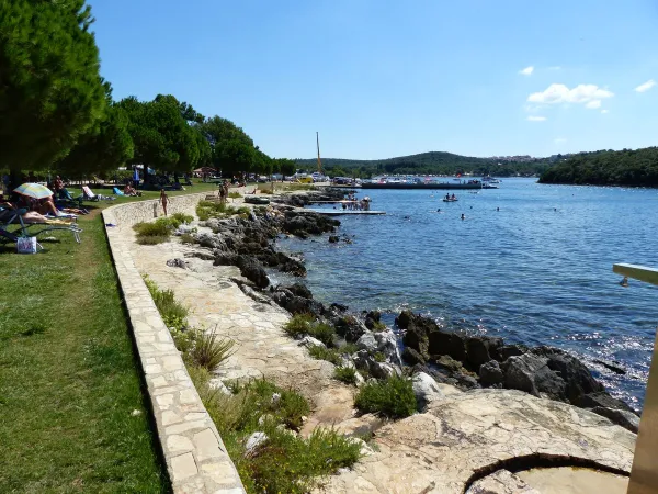 Pelouse pour prendre un bain de soleil au bord de la mer au camping Roan Valkanela.