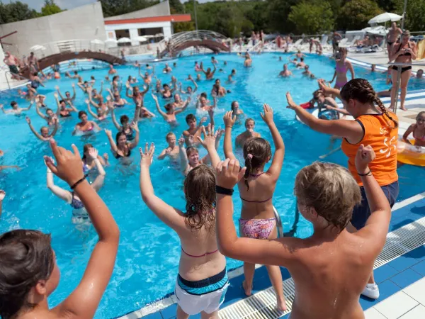 Animation de la piscine au camping Roan Vestar.