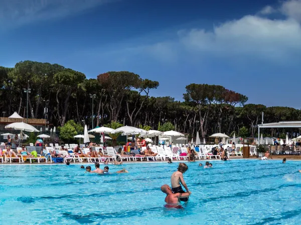 Piscine du camping Roan Fabulous.