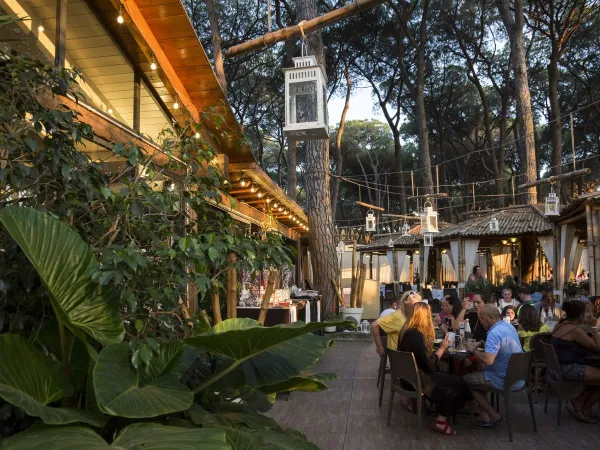 Terrasse d'ambiance au camping hu Fabulous village.
