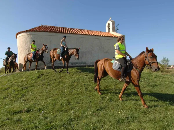 Équitation au camping Roan Zaton Holiday resort.