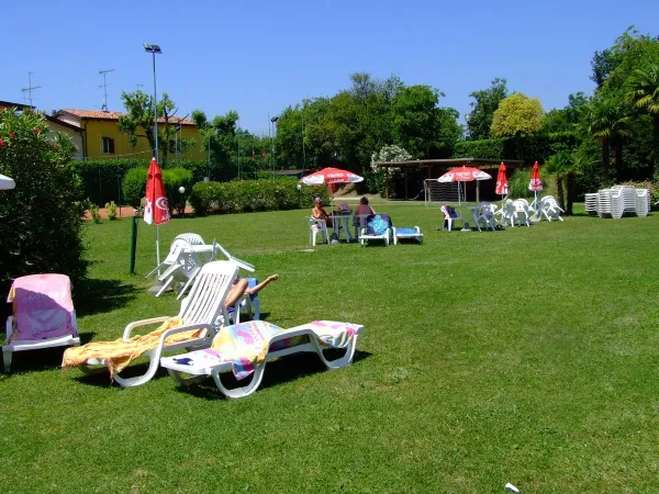 Pelouse au bord de la piscine du Roan camping La Rocca Manerba.