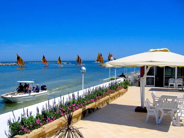 Terrasses le long de la mer au camping Roan Rubicone.