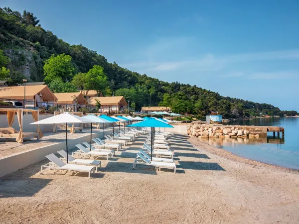 Chaises longues sur la plage de sable du camping Roan Lanterna.