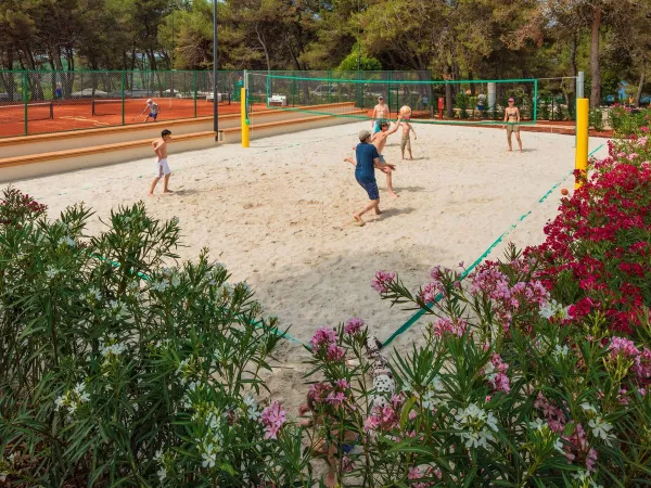 Jouer au volley-ball au camping Roan Lanterna.