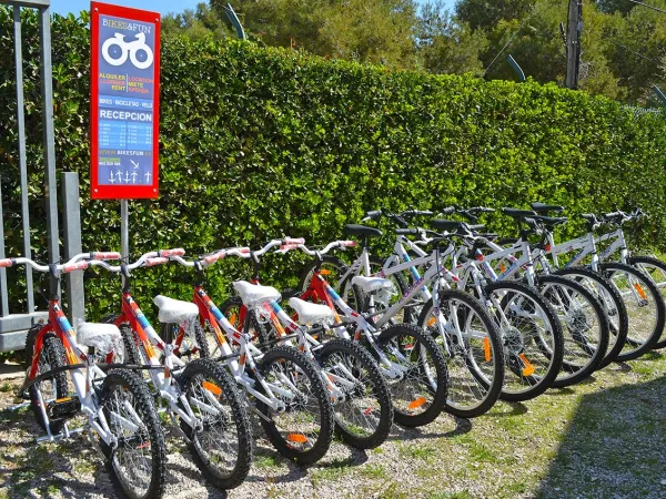 Location de vélos au camping Roan El Garrofer.