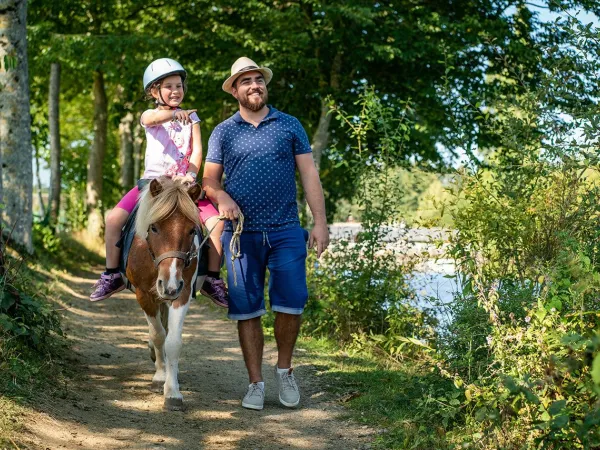 Promenade à poney près du camping Roan des Ormes.