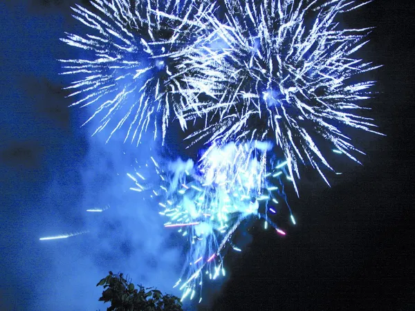 Feu d'artifice au Roan camping des Ormes.