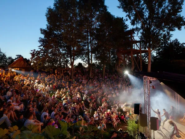 Soirée spectacle au camping Roan des Ormes.